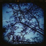 Lomography – Silhouette