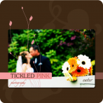 Tickled Pink Photography #01