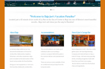 Baja Joe’s (WordPress)